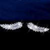 Best-Selling Elegant Micro-Inlaid Zircon Leaf Earrings - Gold & Silver, Korean Fashion for Women