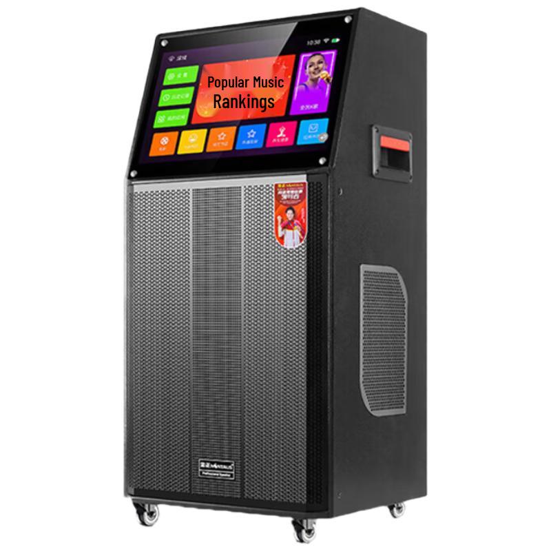 NINTAUS Smart Karaoke & Portable PA Speaker Systems