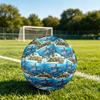 1pc Island Paradise Dolphins Durable Size 5 Soccer Ball Professional Match Training Football Indoor &Outdoor Sports Ball P60163
