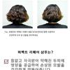 LEBELAGE - Perfect Repair Shampoo