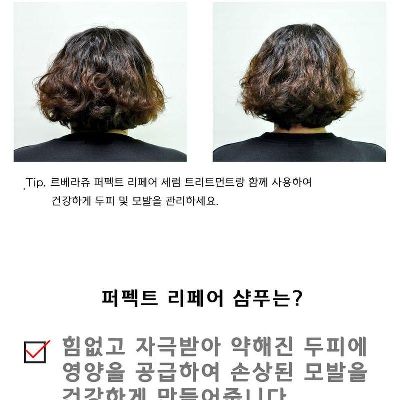 LEBELAGE - Perfect Repair Shampoo