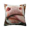 Modern Highland Cow And Flower Throw Pillow Covers Home Decor D Print Sofa Cushion Cover Polyester Soft Pillowslip Dakimakura
