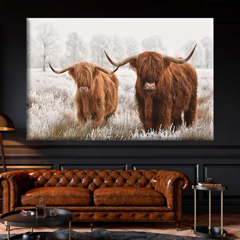 Amazing Portrait of Scottish Highland Cow Wall Pictures Canvas Painting Animal Posters Prints Living Room Home Decor