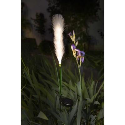 Illuminazione per esterni – Lampade a energia solare
