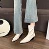 Large Size Women's Boots Korean Style Pointed Toe Fashion Boots Autumn Winter New Arrival Mid Heel Zipper Back Pull Short Tube
