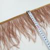 1 Meter Ribbon Tassel Natural Ostrich Feathers Sewing Decoration 10-15cm Wide Apparel Fabric Feather Plumes Ribbon Selvage