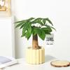 Nordic Ceramic Orchid Vase - Light Luxury Style for Small Plants