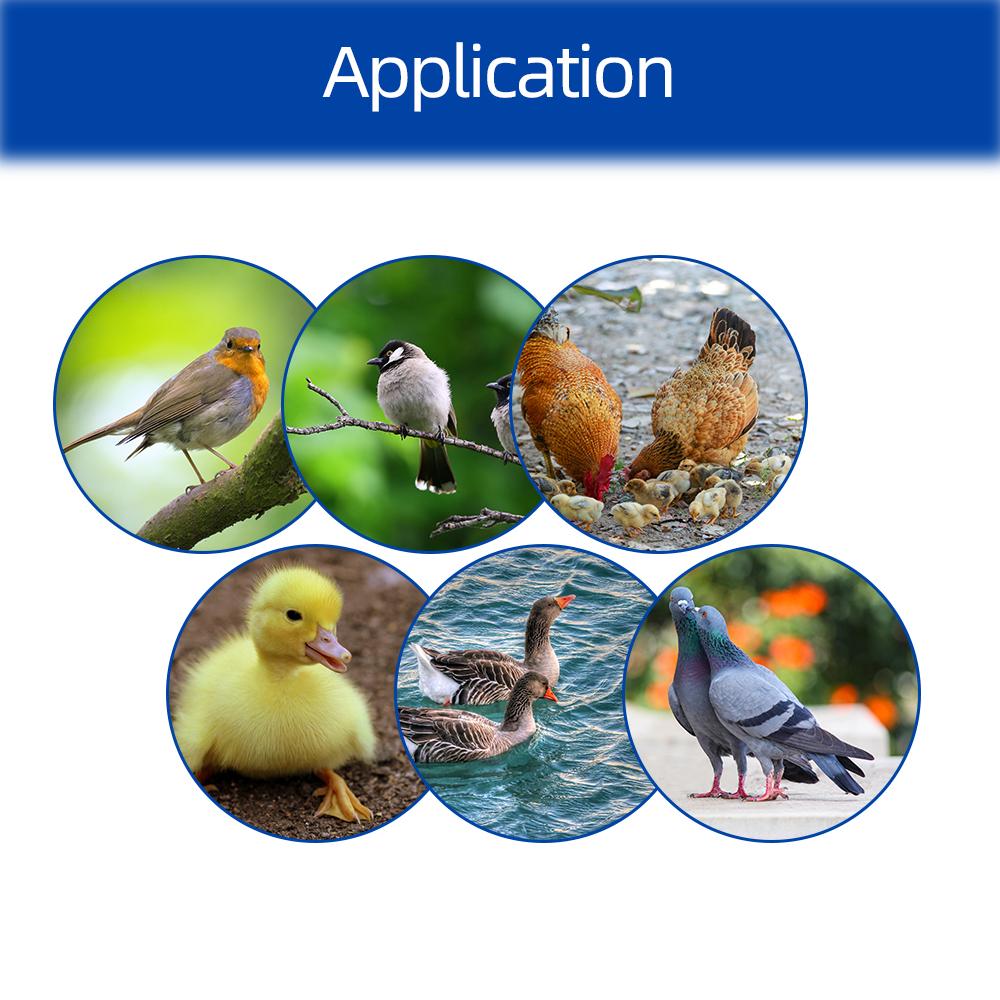 XM-18SW Egg Incubator Controller Thermostat Hygrostat Control Temperature and Humidity Controller App System