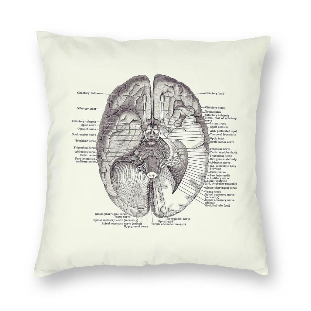 Brain Nervous System Diagram Anatomy Pillowcase Polyester Linen Velvet Pattern Zip Decor Pillow Case Bed Cushion Case