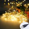 1 buc. Lumini LED alimentate prin USB 5M 50leduri / 10M 100leds Ghirlanda de zane din sarma argintie pentru nunta de Anul Nou Cadou de sarbatoare de Craciun
