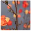 Long Branches Artificial Lantern Fruits Bouquets Red Plastic Fake Flower  Home Vase Decor