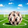 1pc Cats Harmony Theme Soccer Ball Football, Size 5, Lightweight PVC, Durable Outdoor Training Soccer Ball, Gift M61484