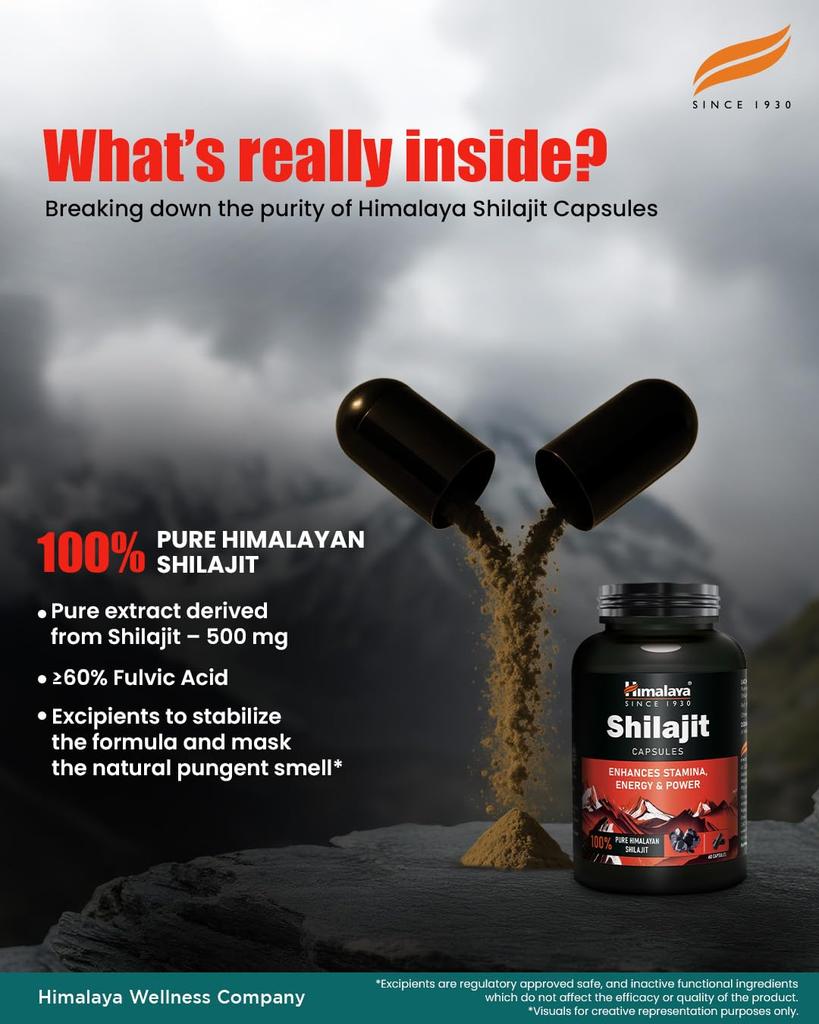 Himalaya Shilajit Kapseln 60 Stück Für Energie Kraft Ausdauer Steigerung Und Gesunde Testosteron Unterstützung Für Männer Und Frauen Tägliches Wohlbefinden