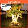 Led Landscape Tree Lamp With Seven Color Options Waterproof Garden Lighting For Outdoors