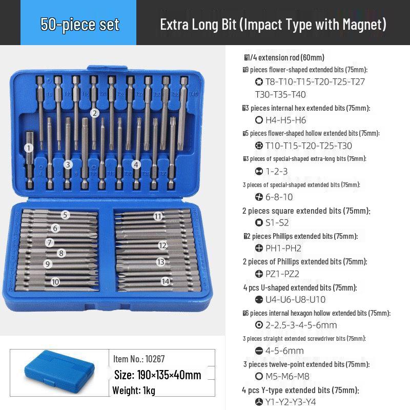 Electric Drill & Bit Tool Set: Phillips, Slotted, Hex, Triangle, Torx & Irregular Bits
