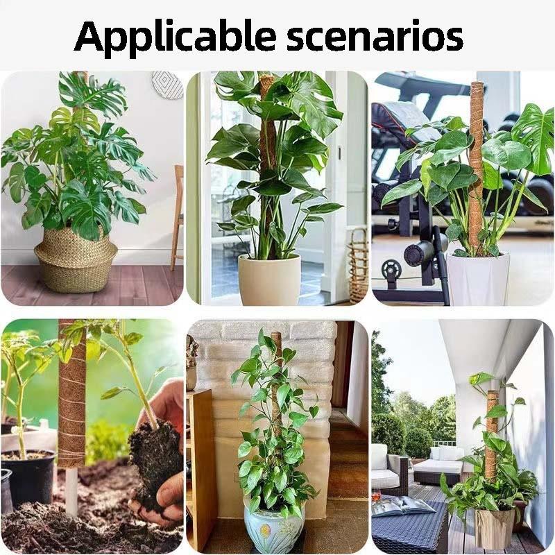 Plant Climbing Trellis Support Stakes Climbing Plant Support Stick Gardening Support Frame Flower Stand