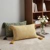 30x45cm Vintage Chenille Weave Cushion Cover with Tassels Skin-friendly Durable Machine Washable Wrinkle-resistant Pillow Case