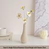 Cream Style Decorative Vases for Living Room, Bedroom, or TV Cabinet with Dried Flowers