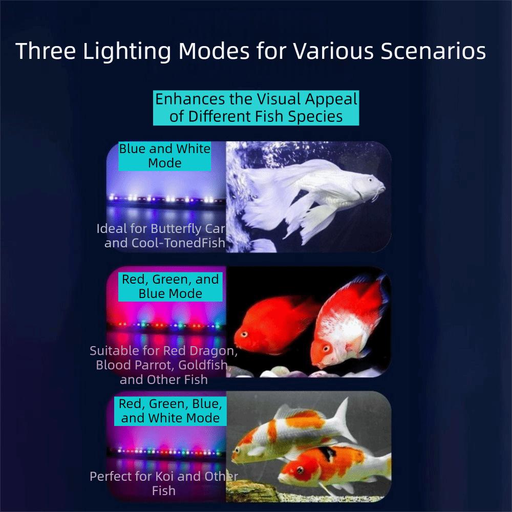 Color Lights Fish Tank Light Lighting Submersible Lamp Durable Color Fish Brightening Lamp Office