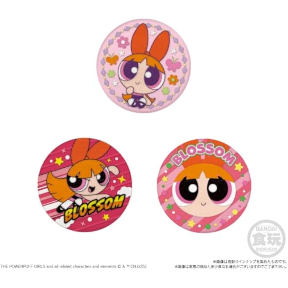Bandai (BANDAI) Powerpuff Girls Embroidered Can Badge Biscuit Biscuit Food Toy [Box Sale/Set of 12]