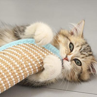 Cat Toy Pillow Bite-Resistant Calming Cat Pillow Toys With Catnip For Small Medium Large Breeds Living Room Study Room Backyard