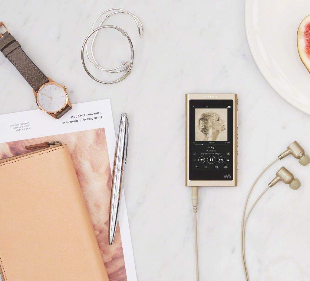 Sony Walkman A Series 16GB MP3 microSD Card Up to 45 Hours of Continuous 2018 Pale Gold NW-A55HN Player, Bluetooth, Support, High-Resolution Audio,