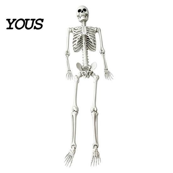 Posable Human Bone Prop 5.4FT Life-Size Skeleton for Halloween, Realistic Poseable Full Body Halloween Decoration with Adjustable Joints, Haunted
