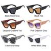 Fashion Oversized Cat Eye Sunglasses UV400 Beach Travel Punk Sun Glasses Black Shades for Women & Men
