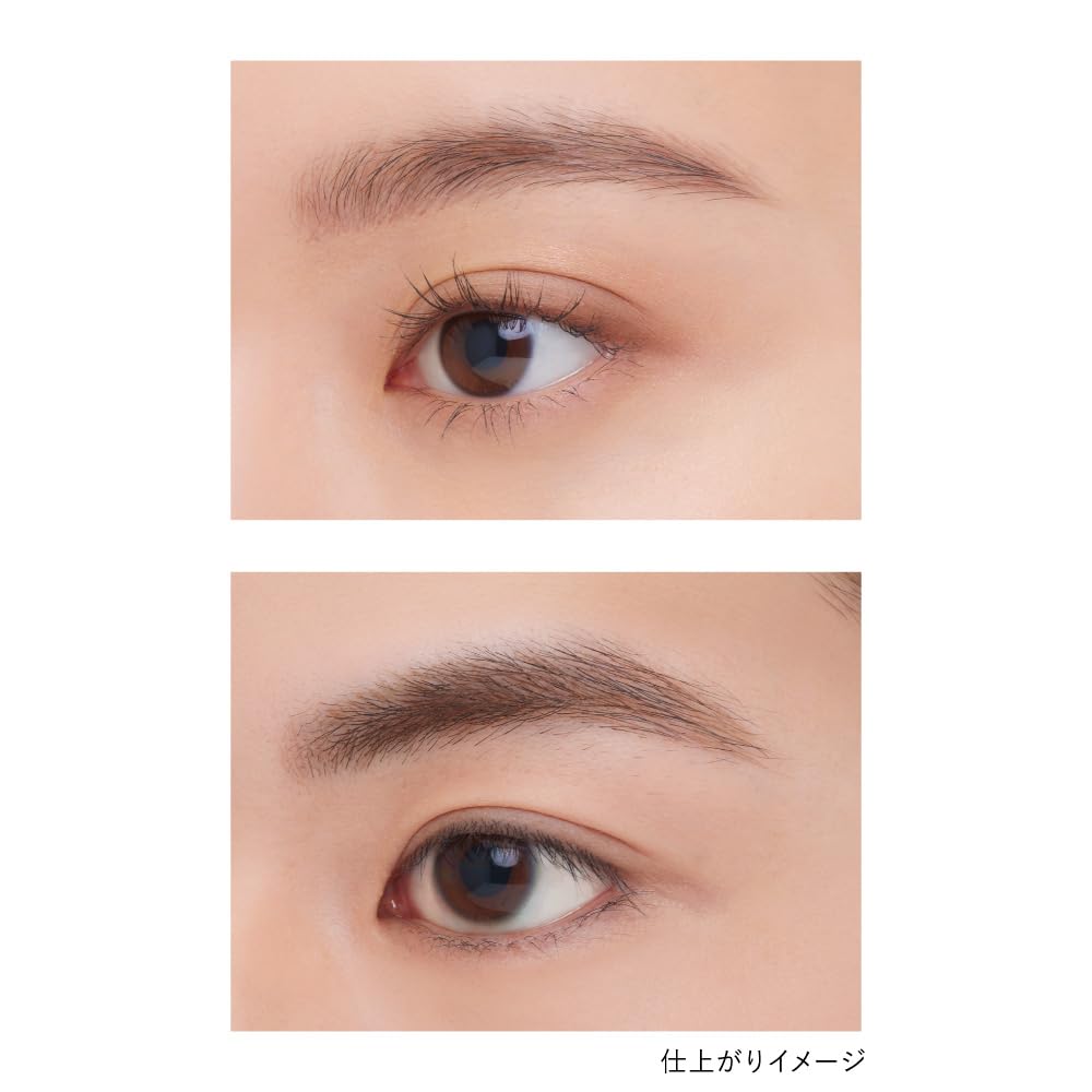 Kanebo Designing Eyebrow Liquid LE2