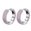 Earrings With Statement Microinlaid Zircon Stones For Both Men Women And