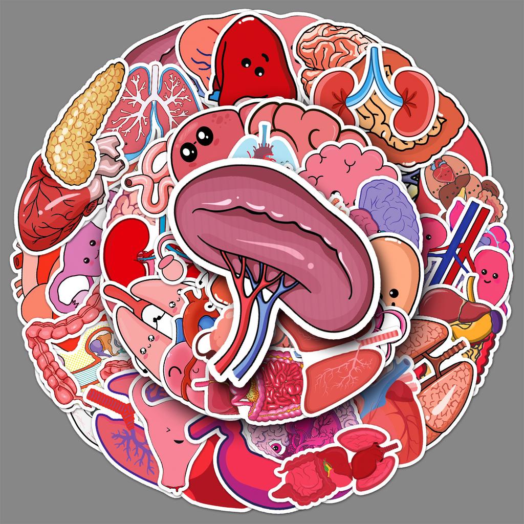 50 Human Organ Graffiti Stickers Cartoon Stickers Decorative Mobile Phone Case Suitcase Stickers