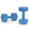 2x2,5 kg sechseckige Hanteln für Fitnessübungen, Gewichte, 2er-Set, blau