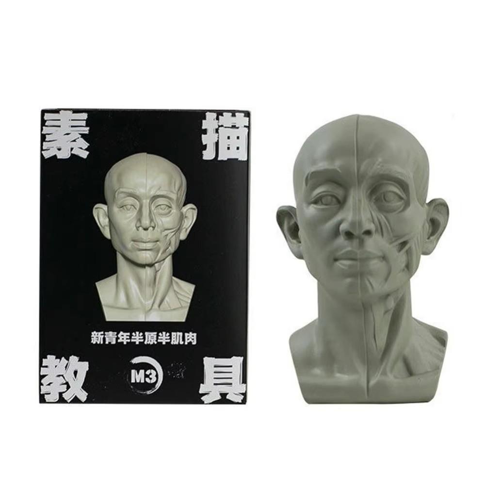 Still Life Ornament Planar Head Model Resin Skecthing Painting Sculpture  for Art Beginner