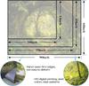 Kanuyee Forest Tapestry Green Landscape Wall Tapestry, Nature Tapestries for Bedroom Ceiling Tapestries Wall Hanging for Bedroom