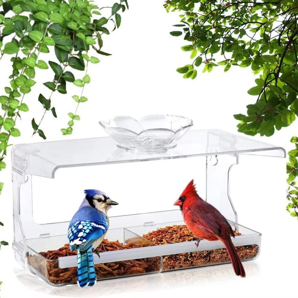 

Acrylic Window Bird Feeder Clear Bird Food Container Hummingbird Feeder Bird Watching