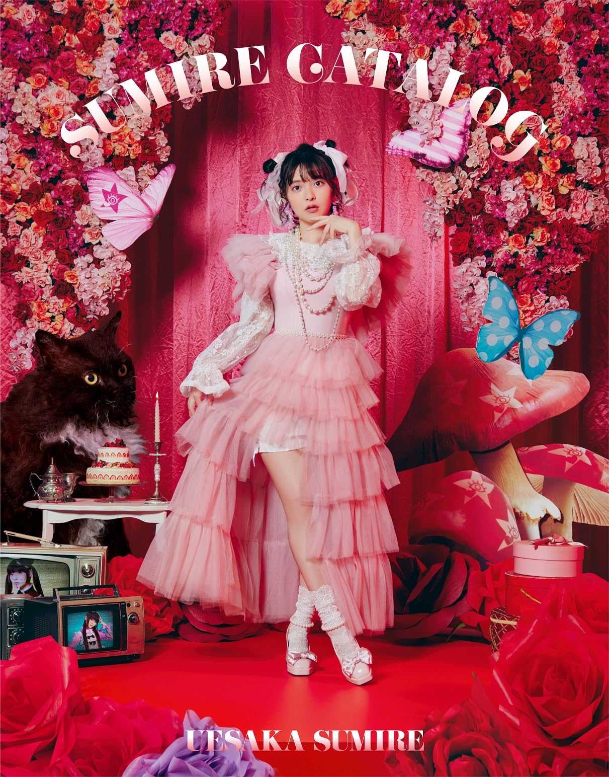

SUMIRE CATALOG limited [Completely edition]