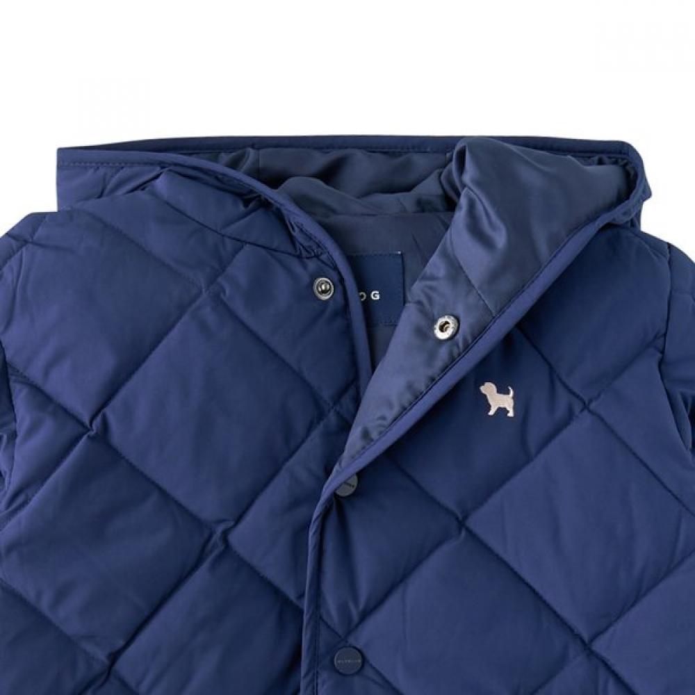 Blue Dog Hood Lightweight Down Jacket Ny 26175 114 01