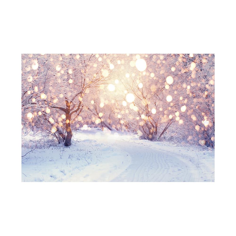 

Рождественский постер со снежной сценой, фестивальные фоновые декорации для домашнего декора, вечеринок, студий, уличных празднований, свадьбы 100x150cm