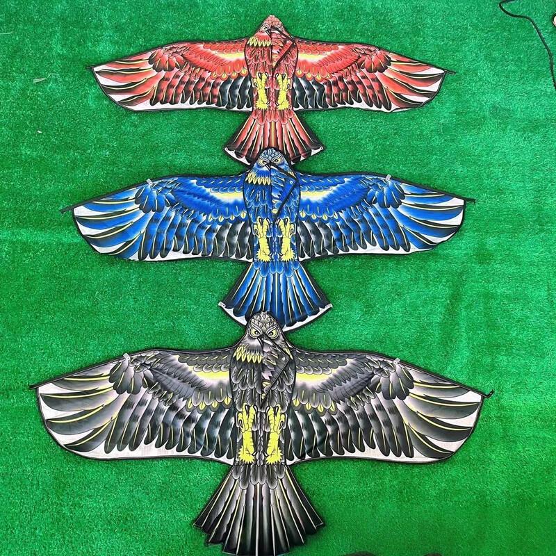 Bird Scaring Eagle Kites