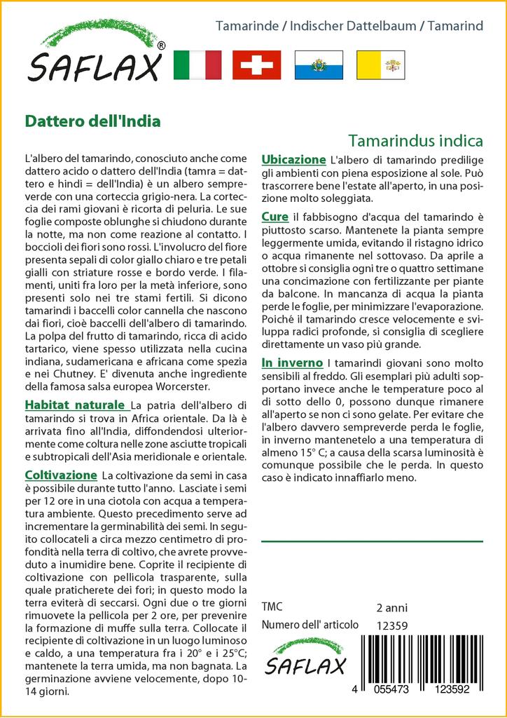 SAFLAX - Tamarind - 4 seeds - With potting substrate for better cultivation - Tamarindus indica