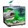 New Arrival Aquarium Ornament Hollow Hole Log Tree Tunnel Cave Fish Tank Decoration Big Size