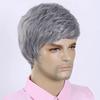 Light Grey Men Wig Synthetic Short Hair Wig with Bangs Natural Curly Hairstyle Elderly Wig Male Cosplay Halloween Party