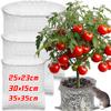 Stainless Steel Plant Root Guard Basket Garden Protection Mesh Bags Fruit Plant Root Gopher Voles Cage Wire Mesh Pest Repellent