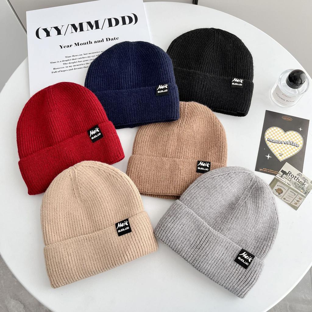 Korean Version of All-match Letter Labeling Flip Hat Brim Wool Hat Windproof Cold Hat Autumn and Winter Warm Knitted Hat Label