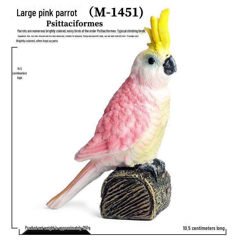 Children s Educational Wild Bird Figurines – Parrot Models and Decorations