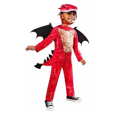 Childrens/Kids Dragon Costume