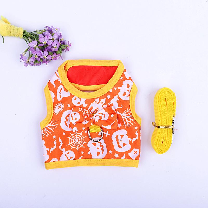 Little Rabbit Pet Harness & Leash for Chinchilla, Squirrel, Hamster, Guinea Pig, Rabbit