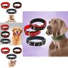 Pet Collar Made Of Pp Polypropylene Breathable And Comfortable Suitable For All Seasons