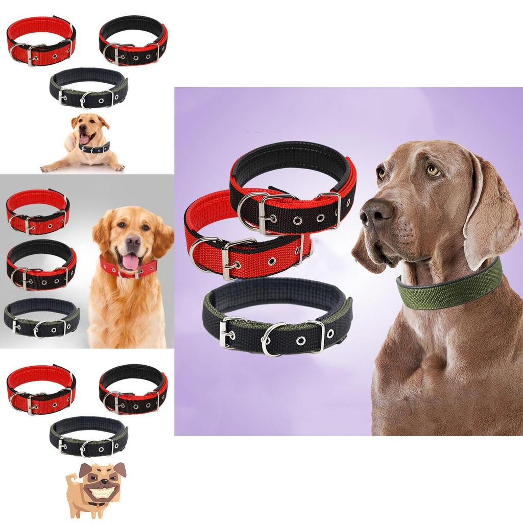 Pet Collar Made Of Pp Polypropylene Breathable And Comfortable Suitable For All Seasons