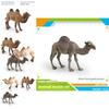 Desert Animal Pvc Figurine Twin Hump Camel Static Decor For Children Learning Play
